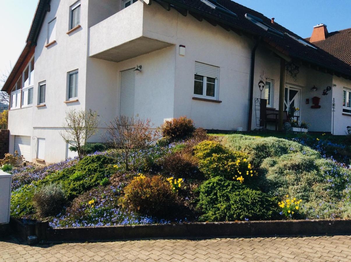 Fernblick Apartment Zweibrücken Exterior foto